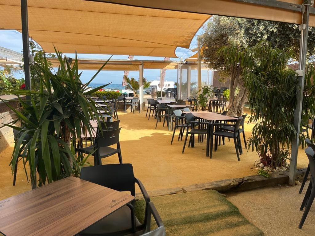 Beach Apartment Amalia Torrevieja Exterior foto